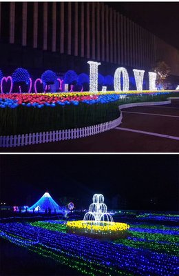 點(diǎn)亮夢幻世界 動(dòng)植物花燈光節(jié)的魅力與彩燈制造的藝術(shù)